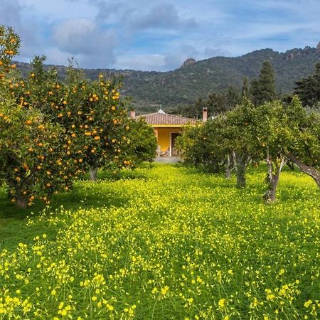 A Charming Country Cottage + Bikes And Kayaks Bosa Extérieur photo
