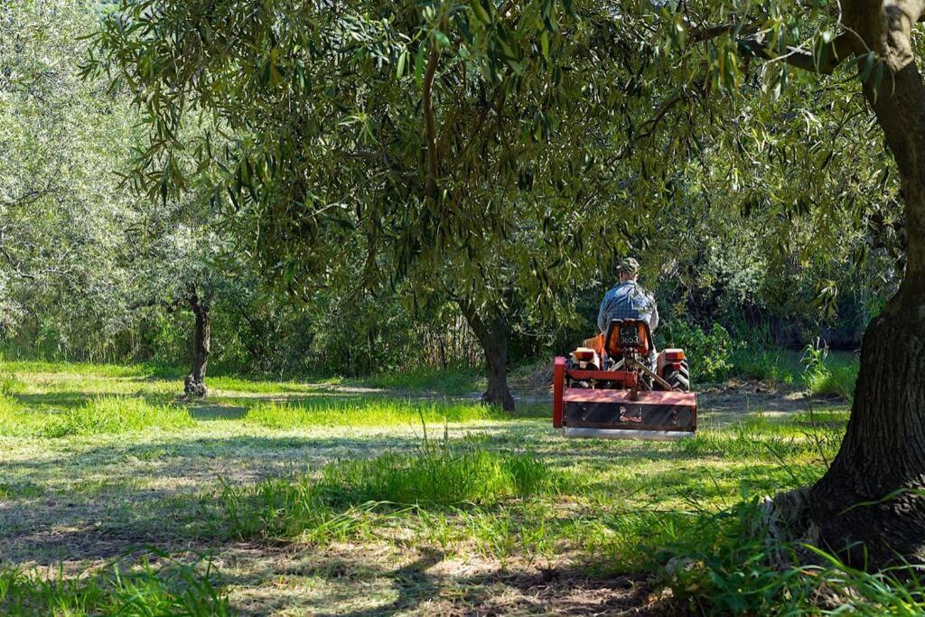 A Charming Country Cottage + Bikes And Kayaks Bosa Extérieur photo