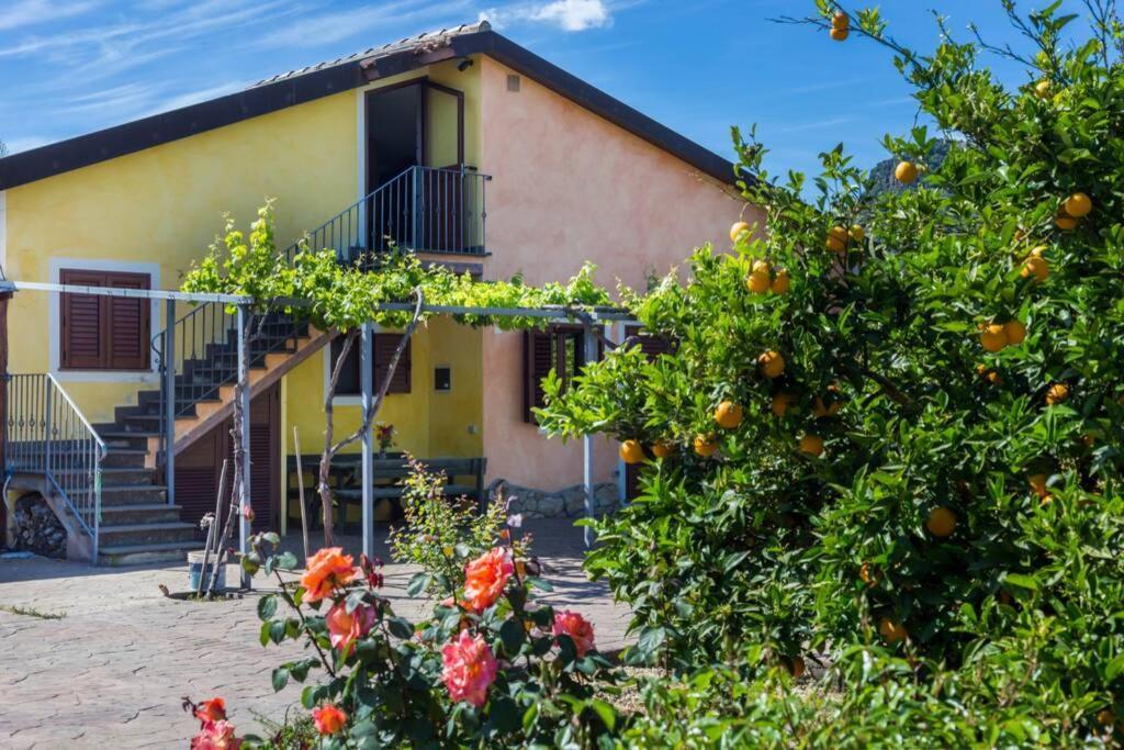 A Charming Country Cottage + Bikes And Kayaks Bosa Extérieur photo