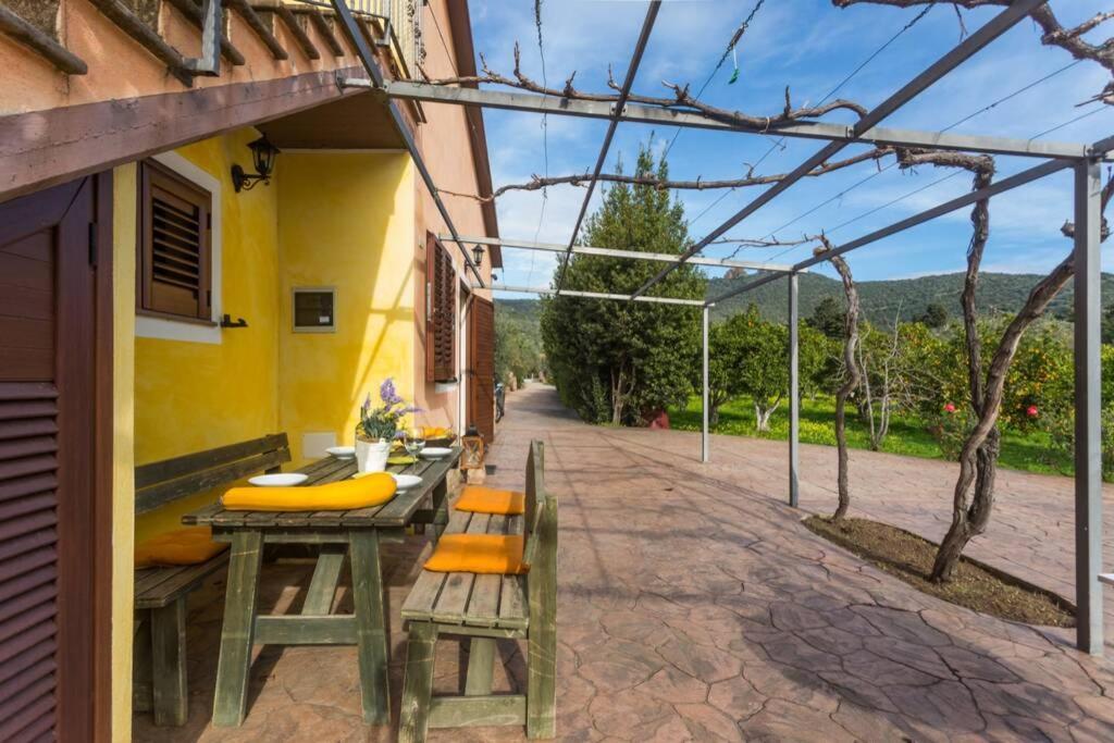 A Charming Country Cottage + Bikes And Kayaks Bosa Extérieur photo