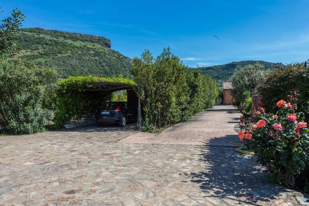 A Charming Country Cottage + Bikes And Kayaks Bosa Extérieur photo